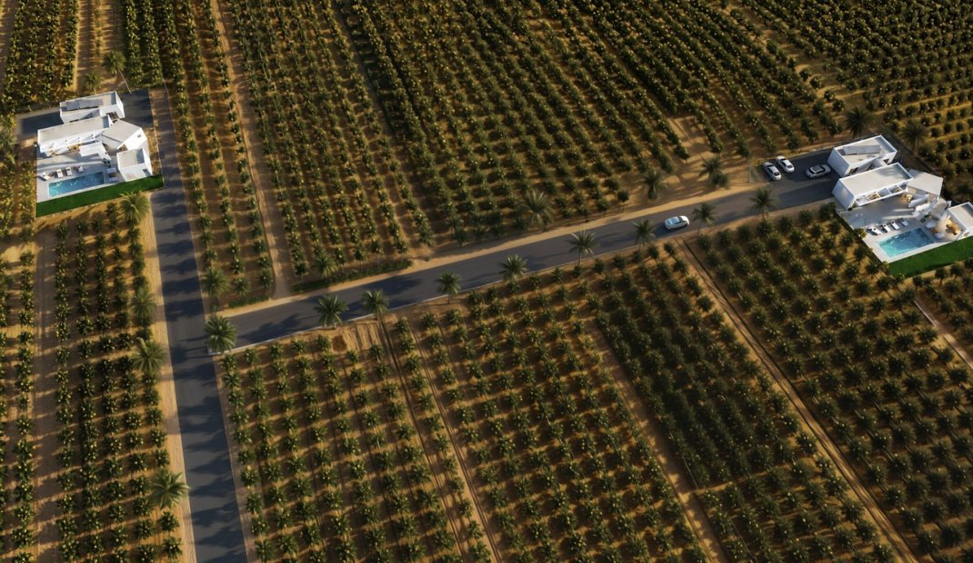 New Build - Villa -
Benejúzar - alta