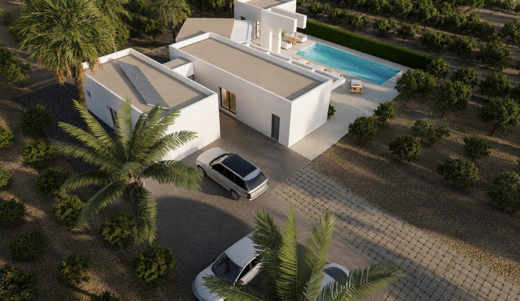 New Build - Villa -
Benejúzar - alta