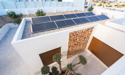 New Build - Villa -
Benejúzar - alta