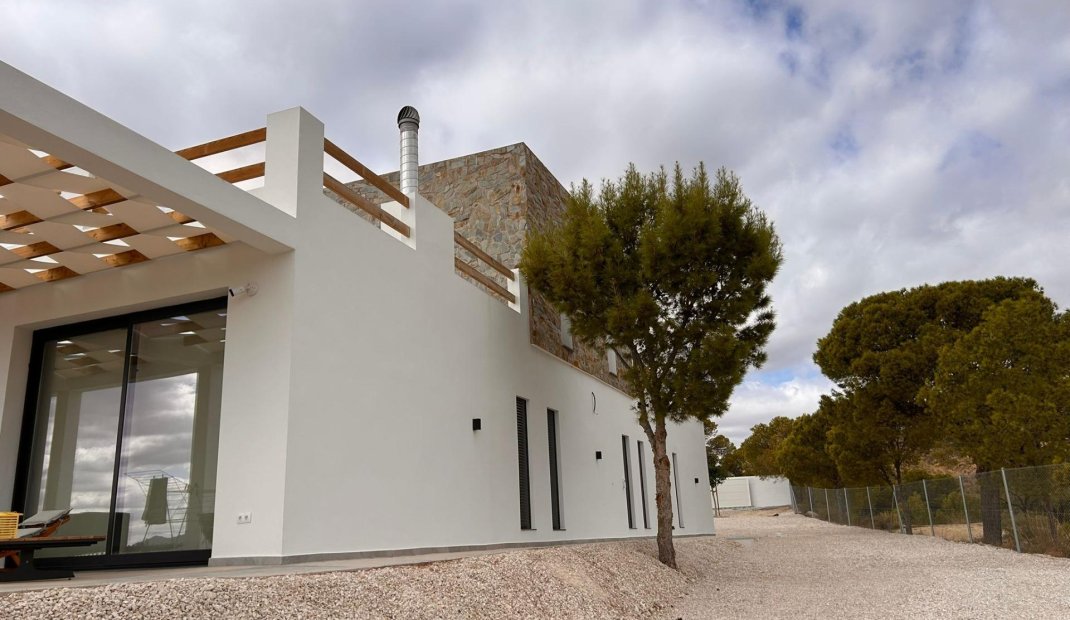 New Build - Villa -
Pinoso - Casas Pastor