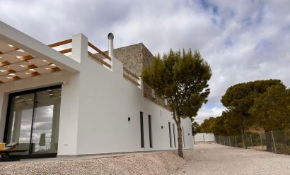 New Build - Villa -
Pinoso - Casas Pastor