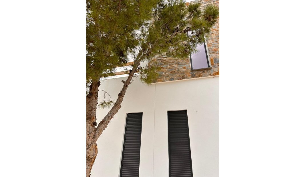 New Build - Villa -
Pinoso - Casas Pastor