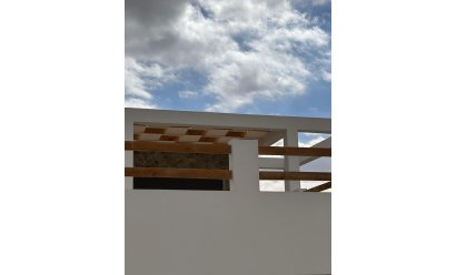New Build - Villa -
Pinoso - Casas Pastor