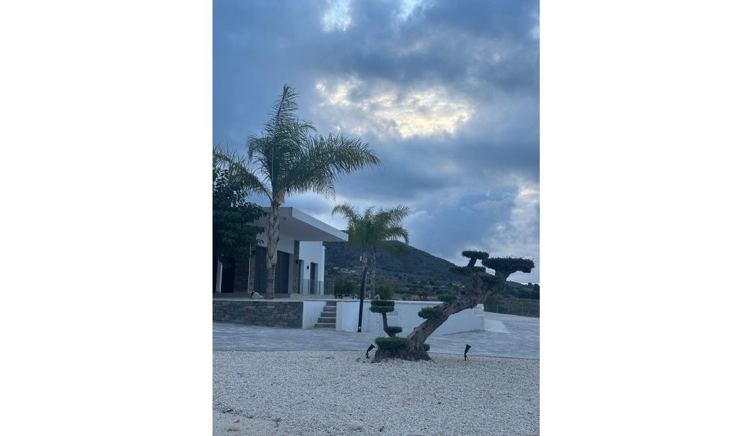 New Build - Villa -
Pinoso - Casas Pastor