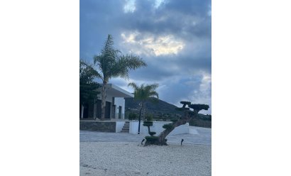 New Build - Villa -
Pinoso - Casas Pastor