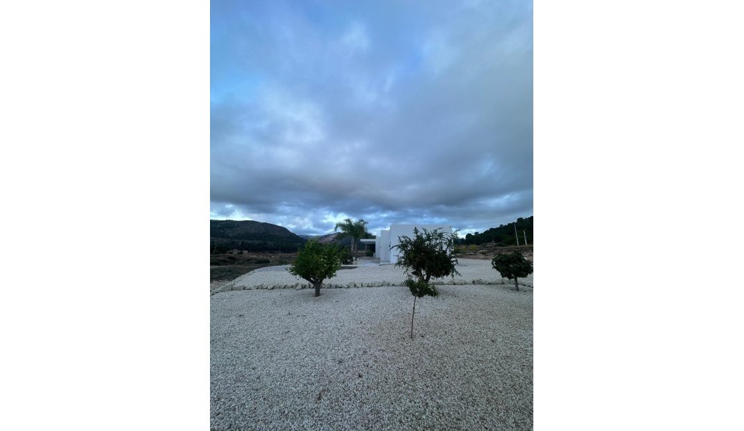 New Build - Villa -
Pinoso - Casas Pastor
