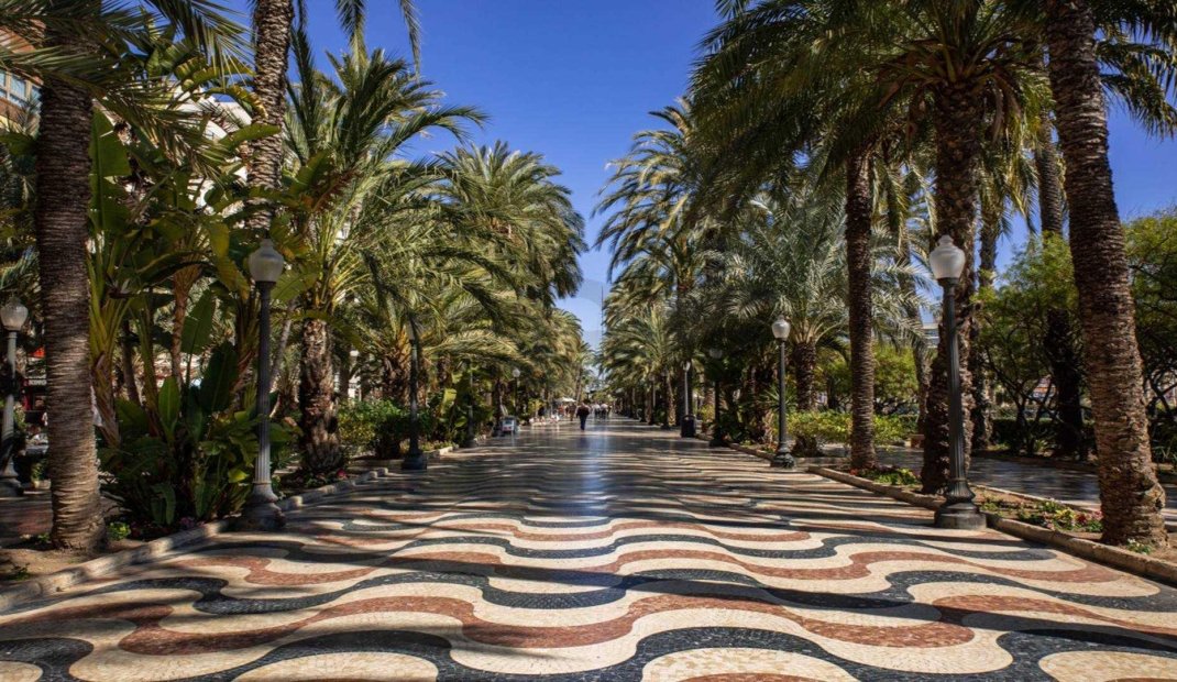 Nýbygging - Íbúð -
Alicante - Centro