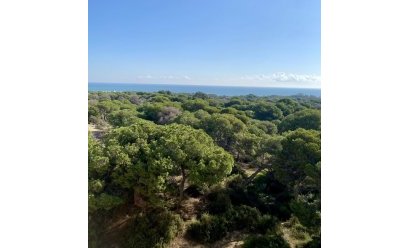 New Build - Penthouse -
Guardamar del Segura - Centro