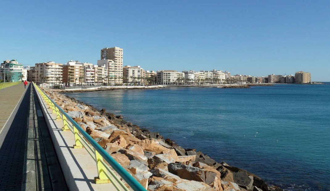 Obra nueva - Villa -
Villamartin