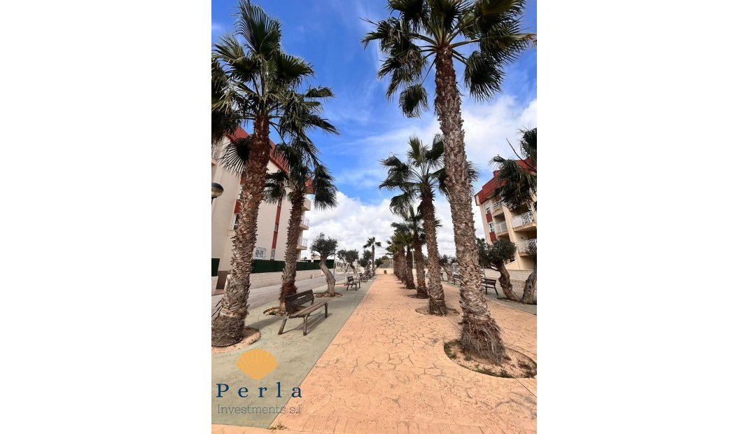 New Build - Apartment -
Lomas de Cabo Roig