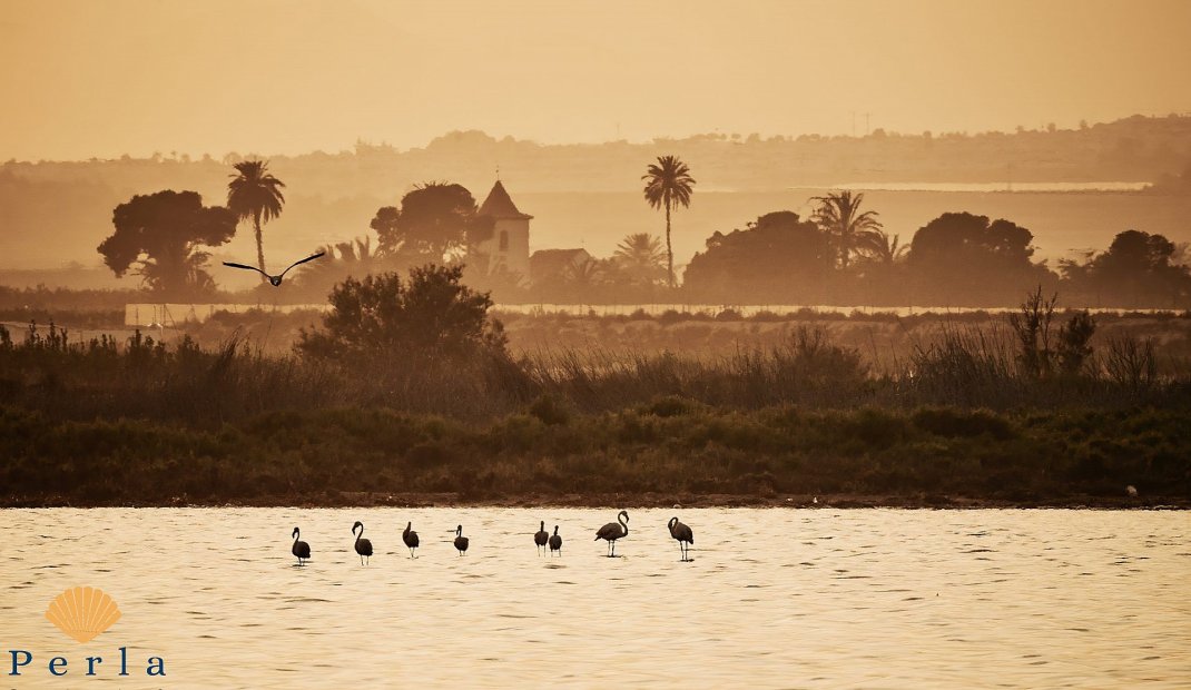 Nýbygging - Þakíbúð -
Torrevieja