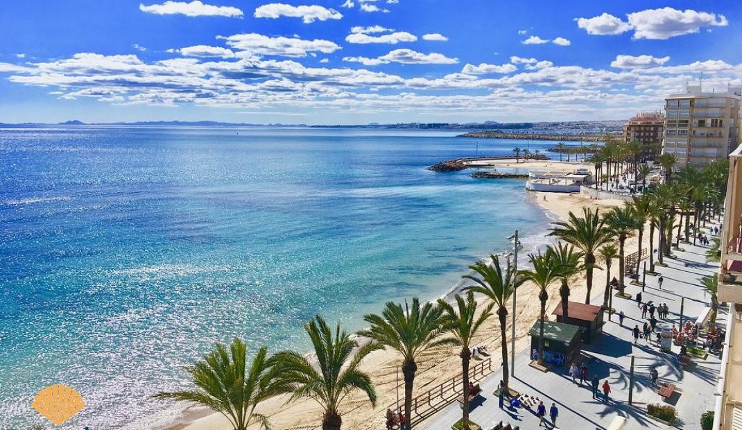 Obra nueva - Apartamento -
Torrevieja