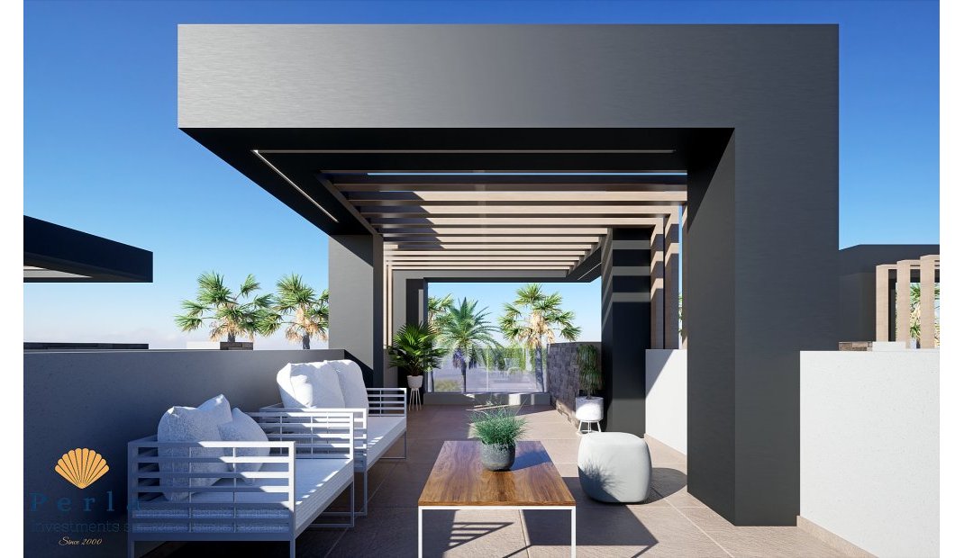 Obra nueva - Villa -
San Fulgencio