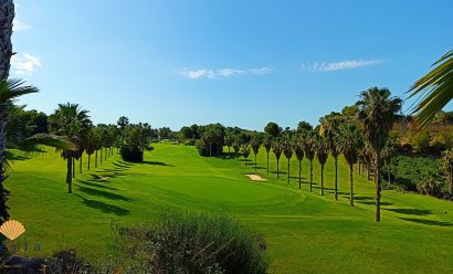 Resale - Apartment -
Campoamor