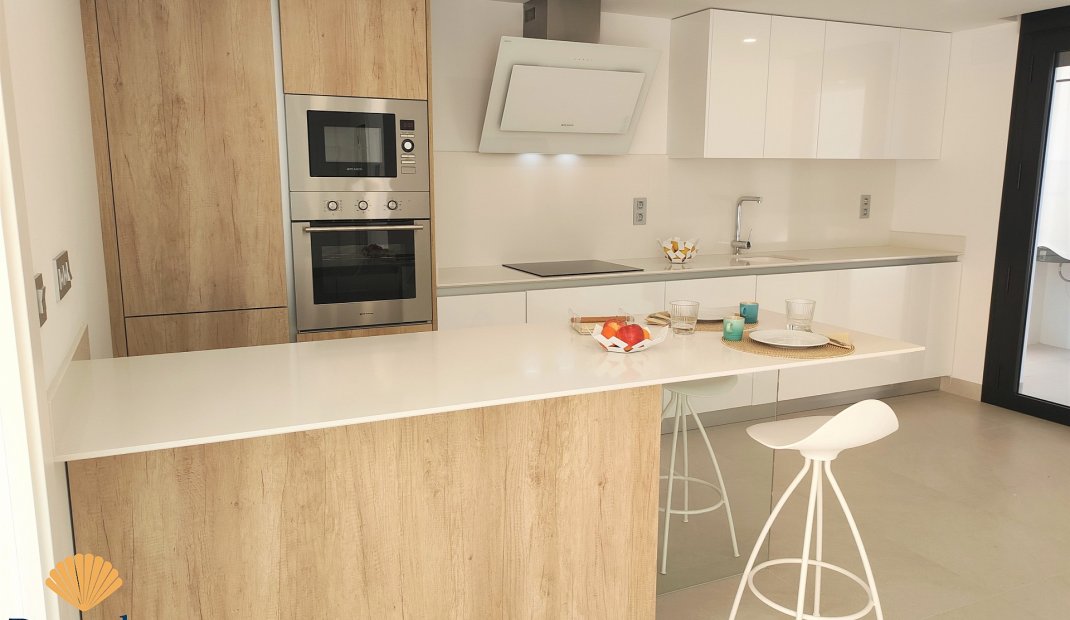 Obra nueva - Villa -
Benijofar