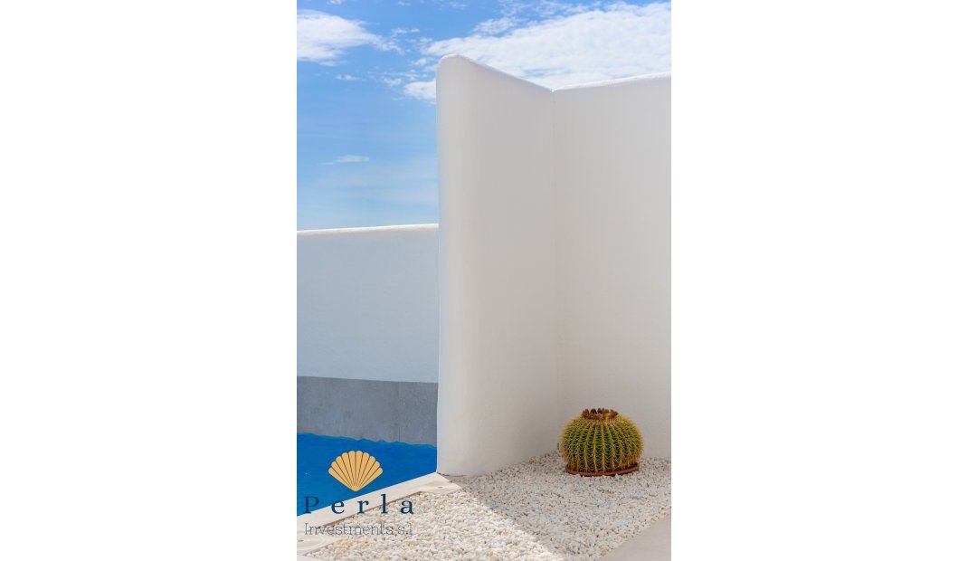 New Build - Villa -
San Fulgencio