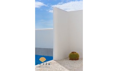 New Build - Villa -
San Fulgencio