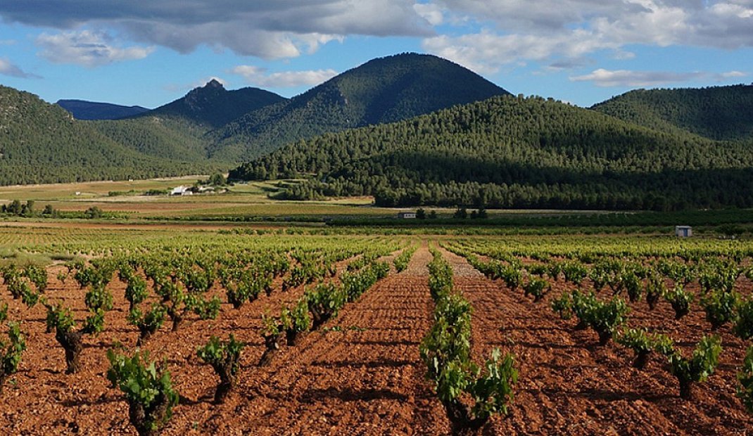 Reventa - Villa -
Las Palas