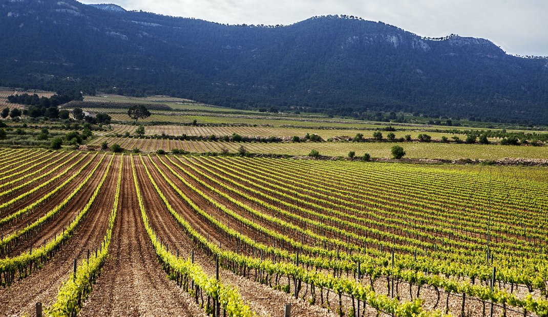 Reventa - Villa -
Las Palas