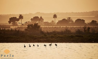 Nýbygging - Einbýlishús -
Campoamor