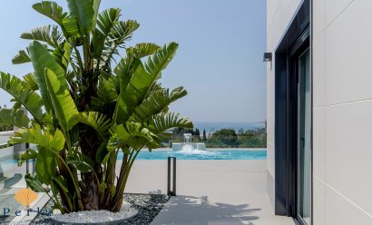 New Build - Villa -
Campoamor