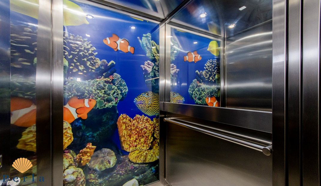 New Build - Villa -
Campoamor