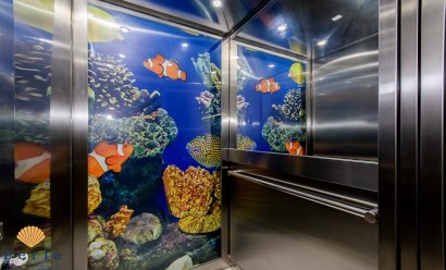 New Build - Villa -
Campoamor