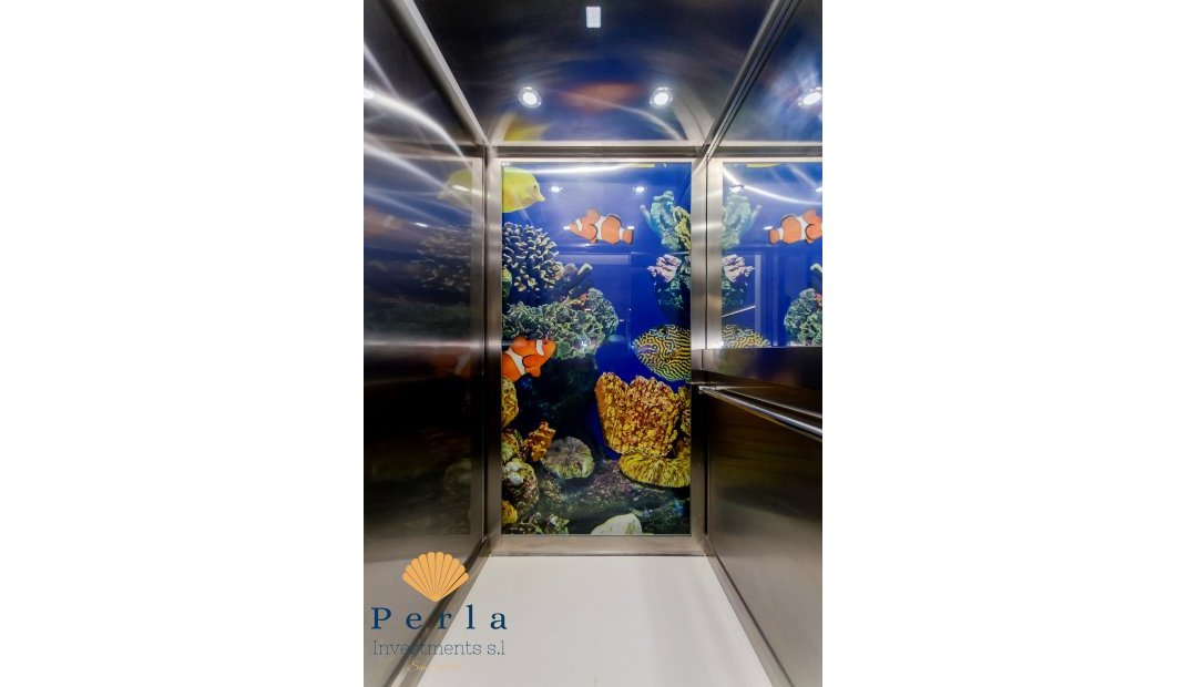 New Build - Villa -
Campoamor