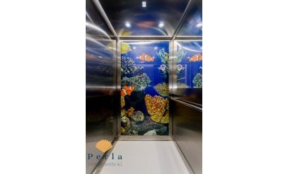 New Build - Villa -
Campoamor