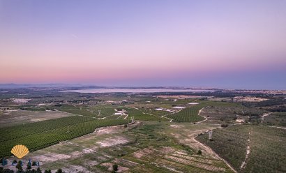 New Build - Bungalow -
San Miguel de Salinas