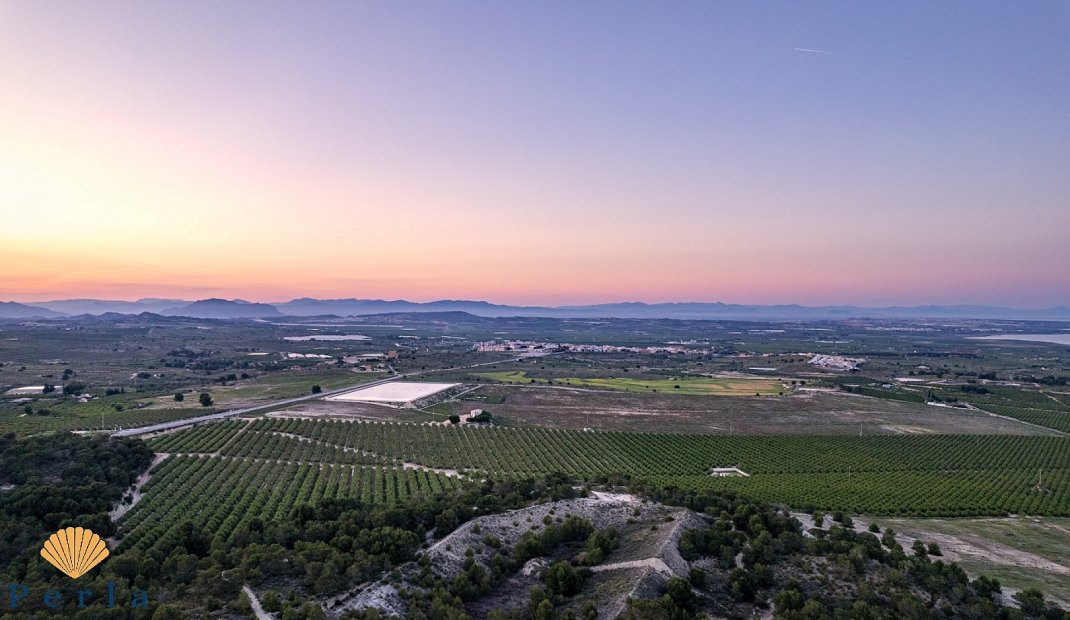 New Build - Bungalow -
San Miguel de Salinas