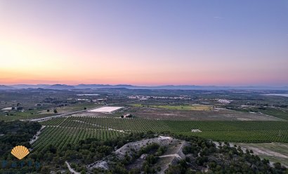 New Build - Bungalow -
San Miguel de Salinas