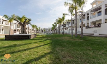 New Build - Bungalow -
Torrevieja