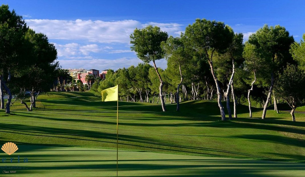 Obra nueva - Bungalow -
Vistabella Golf