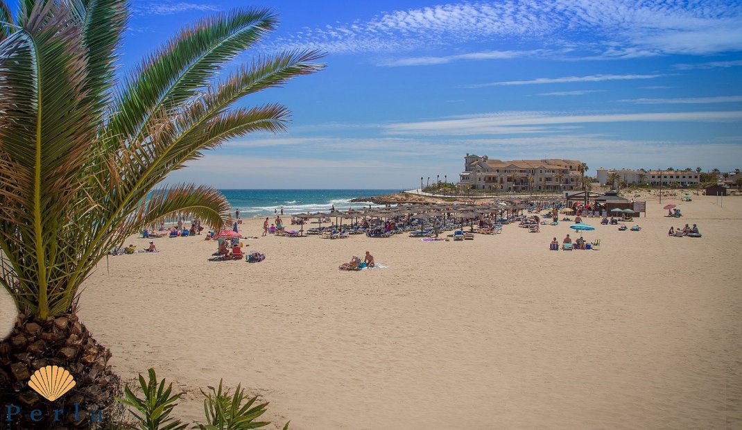 Nýbygging - Þakíbúð -
Playa Flamenca