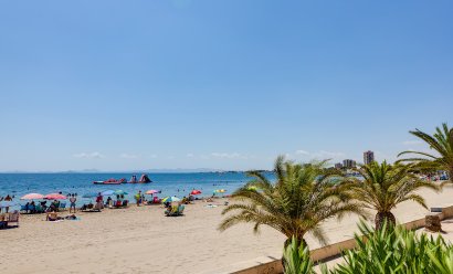 Obra nueva - Ático -
San Javier