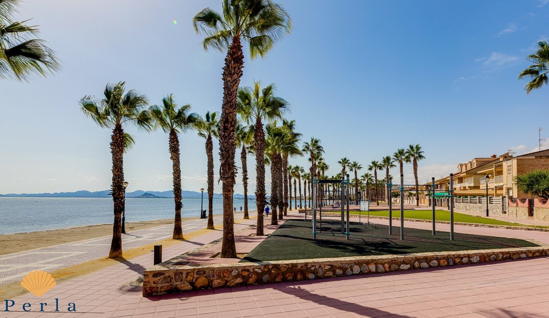 New Build - Apartment -
San Javier