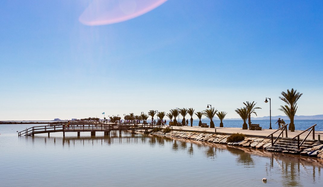 New Build - Apartment -
San Javier