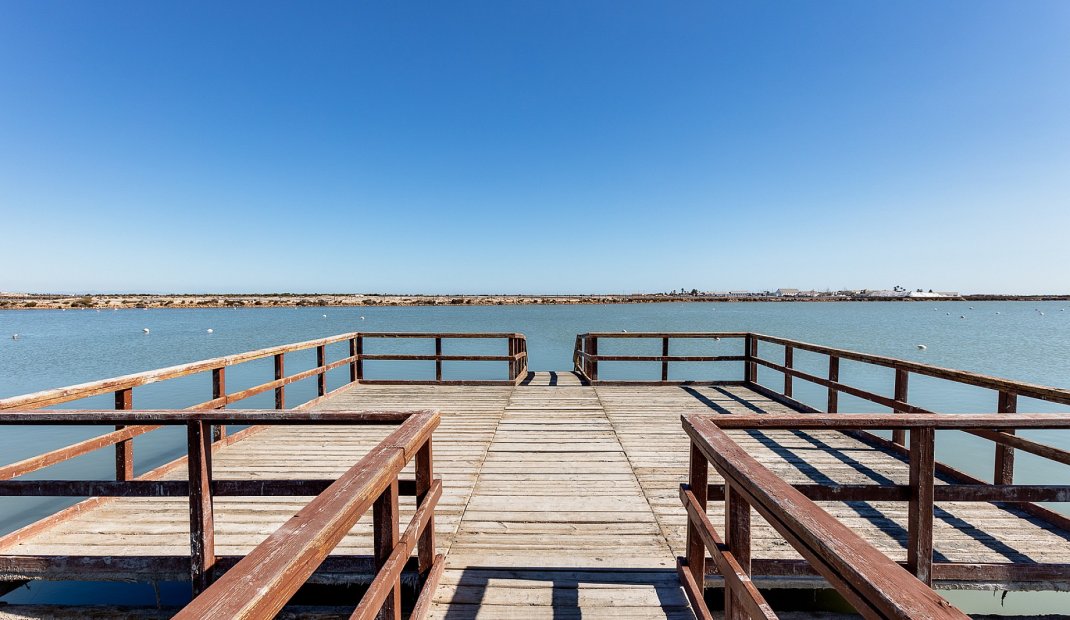New Build - Apartment -
San Javier
