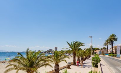 New Build - Apartment -
San Javier