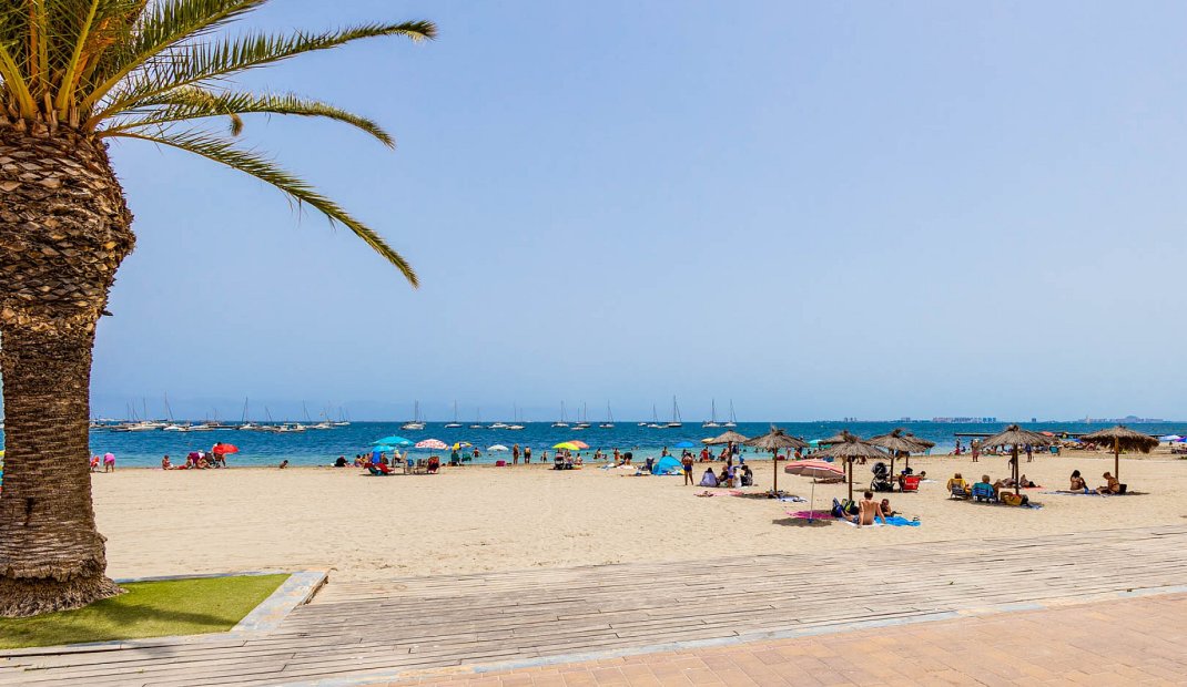 New Build - Apartment -
San Javier