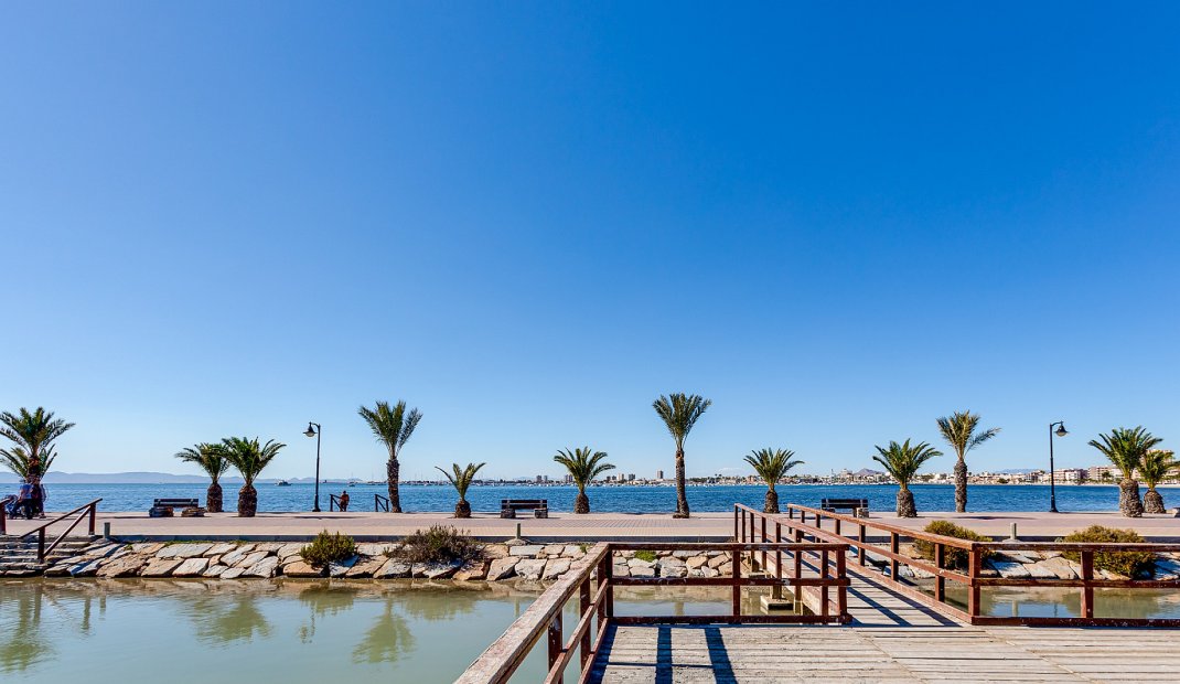 New Build - Apartment -
San Javier