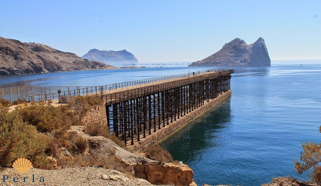 Obra nueva - Ático -
Áquilas