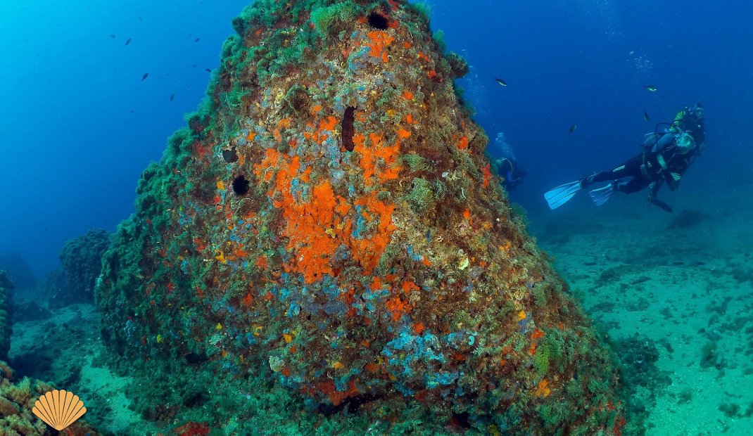 Obra nueva - Ático -
Áquilas