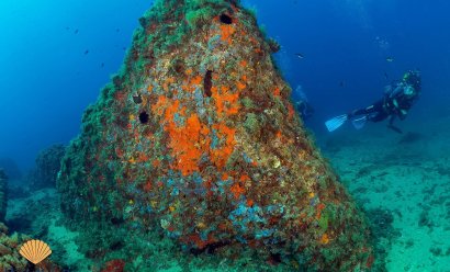 New Build - Apartment -
Áquilas