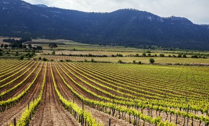 Nýbygging - Einbýlishús -
Calasparra