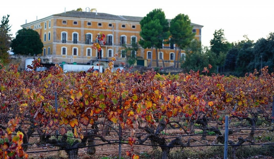 Nýbygging - Einbýlishús -
Calasparra