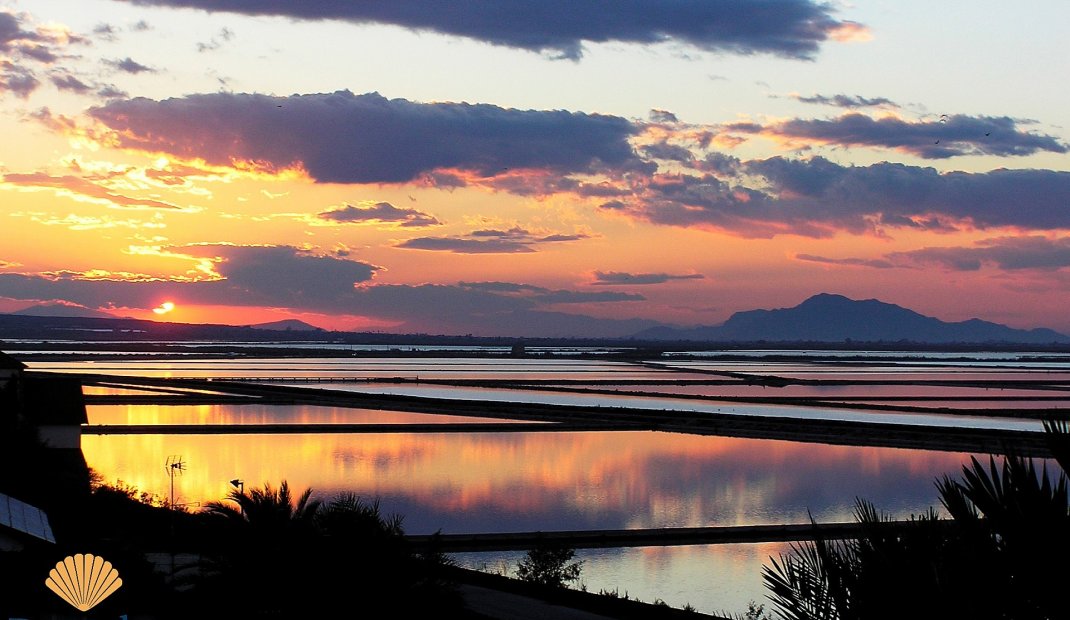 New Build - Apartment -
Gran Alacant