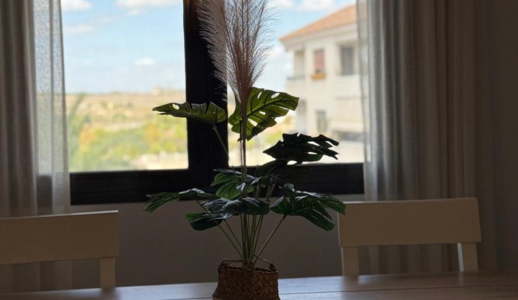 Resale - Apartment -
San Miguel de Salinas