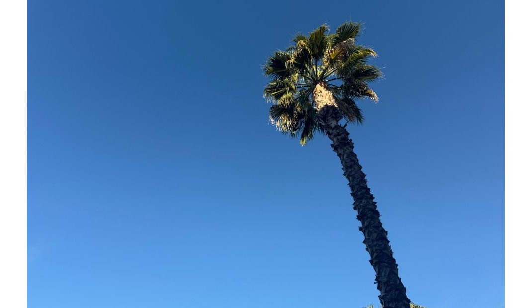 Resale - Apartment -
Lomas de Cabo Roig